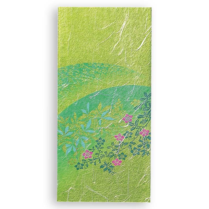 100g雲竜ｱﾙﾐ平袋 （草）